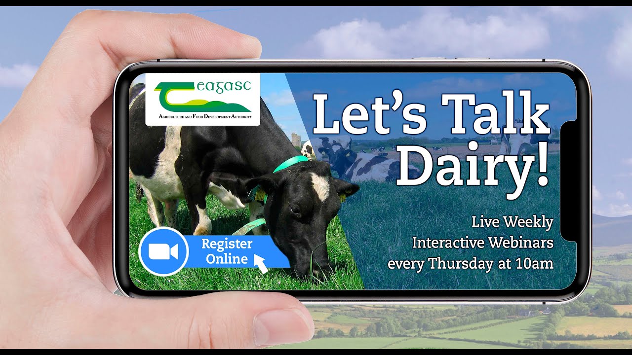 Let's Talk Dairy Webinar January 21st 2021 - Spring Nitrogen Strategy