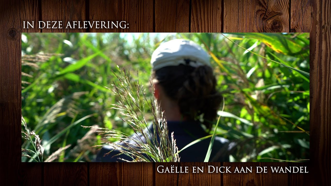 Hoeksche Waarde - aflevering 1 (pilot)