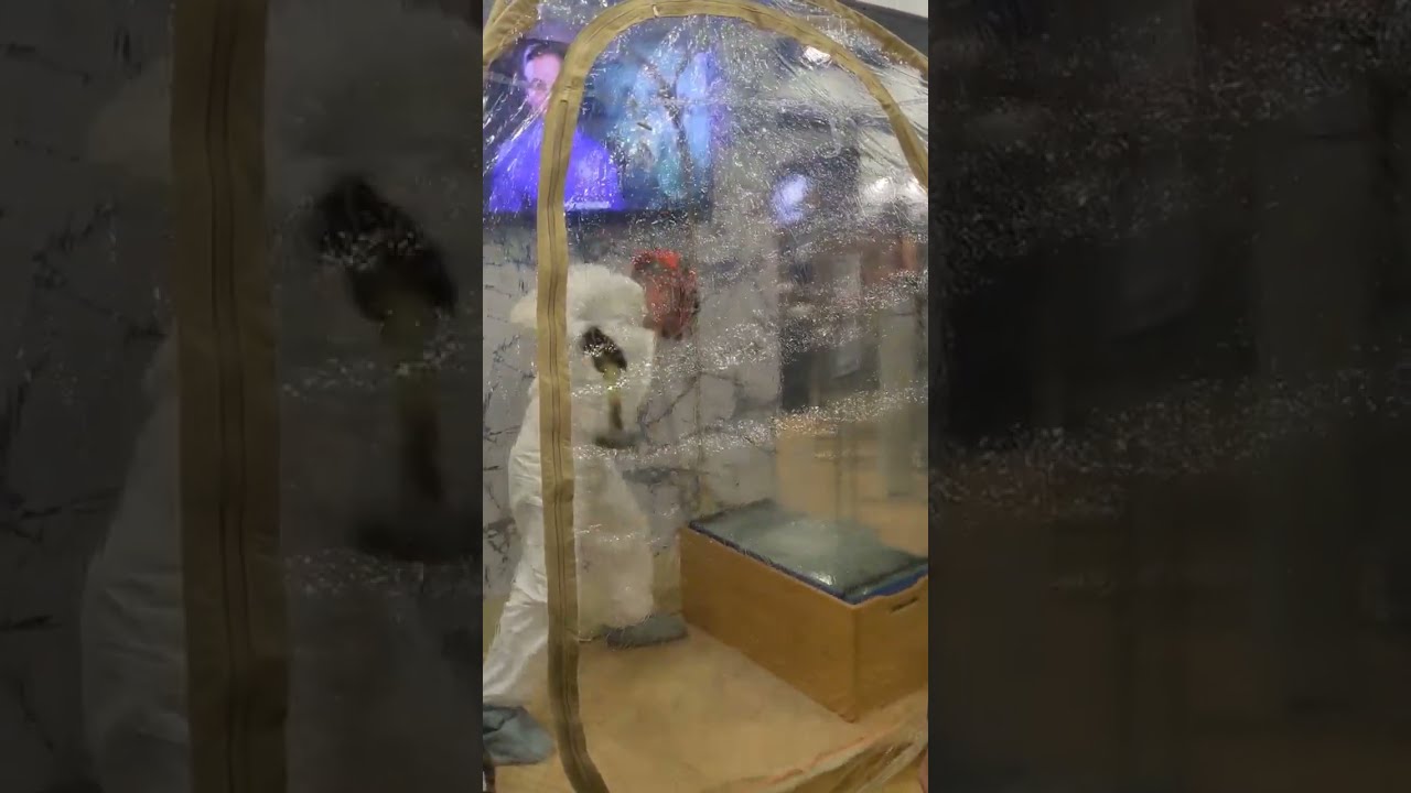 AIA 2023 Live Security Demo