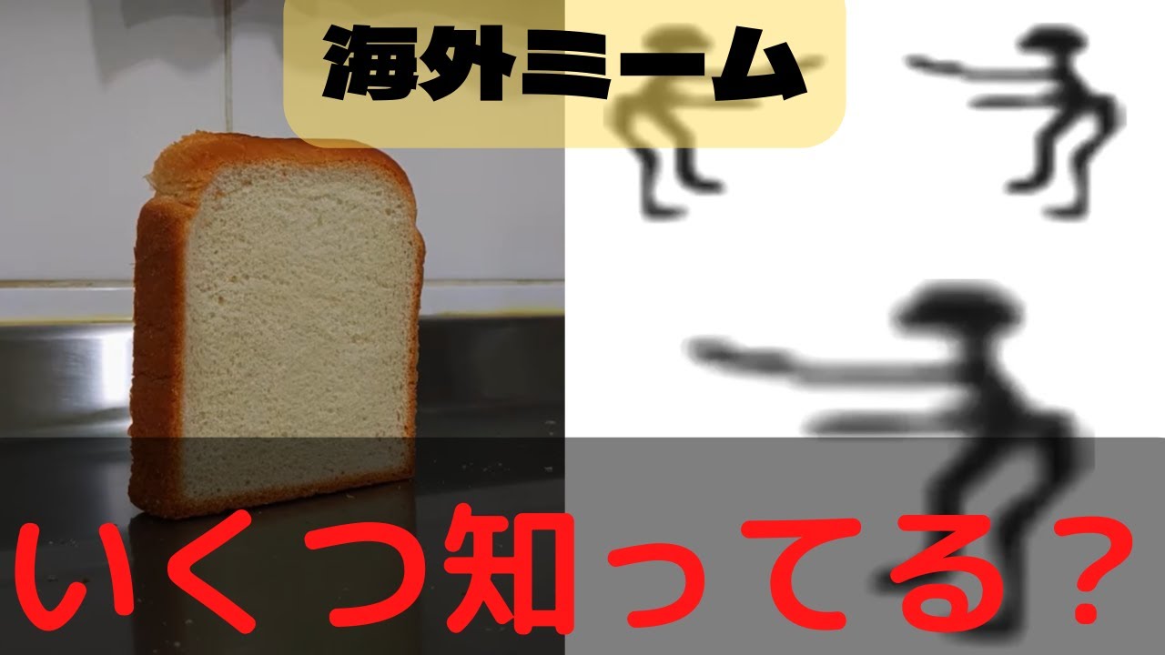 すべて知ってる？海外ミーム10選『Part2』