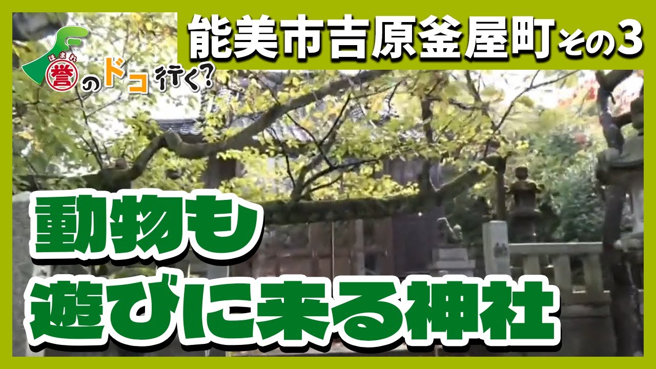 【誉のドコ行く？2025年12月3日放送 能美市吉原釜屋町③】