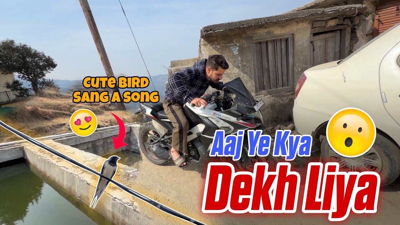 ​Aaj ye kya dekh liya? 🐦😱 | Daily Vlogs