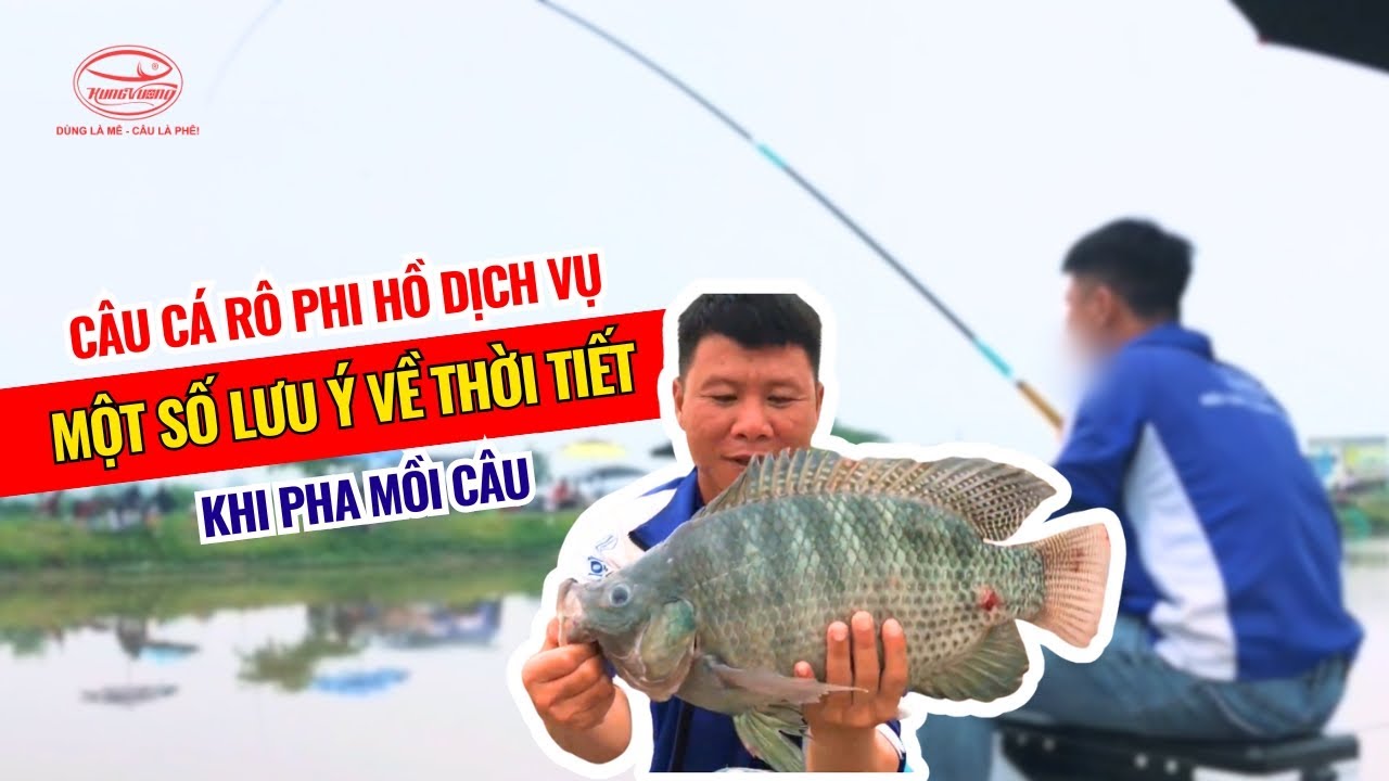 Câu cá rô phi hồ dịch vụ - Một số lưu ý về thời tiết khi pha mồi câu | Mồi Câu Cá Hùng Vương
