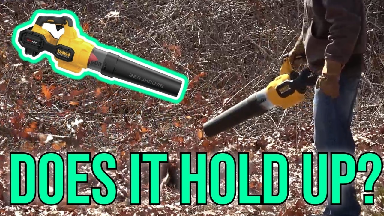 DeWALT Electric Leaf Blower | And Tips For Use