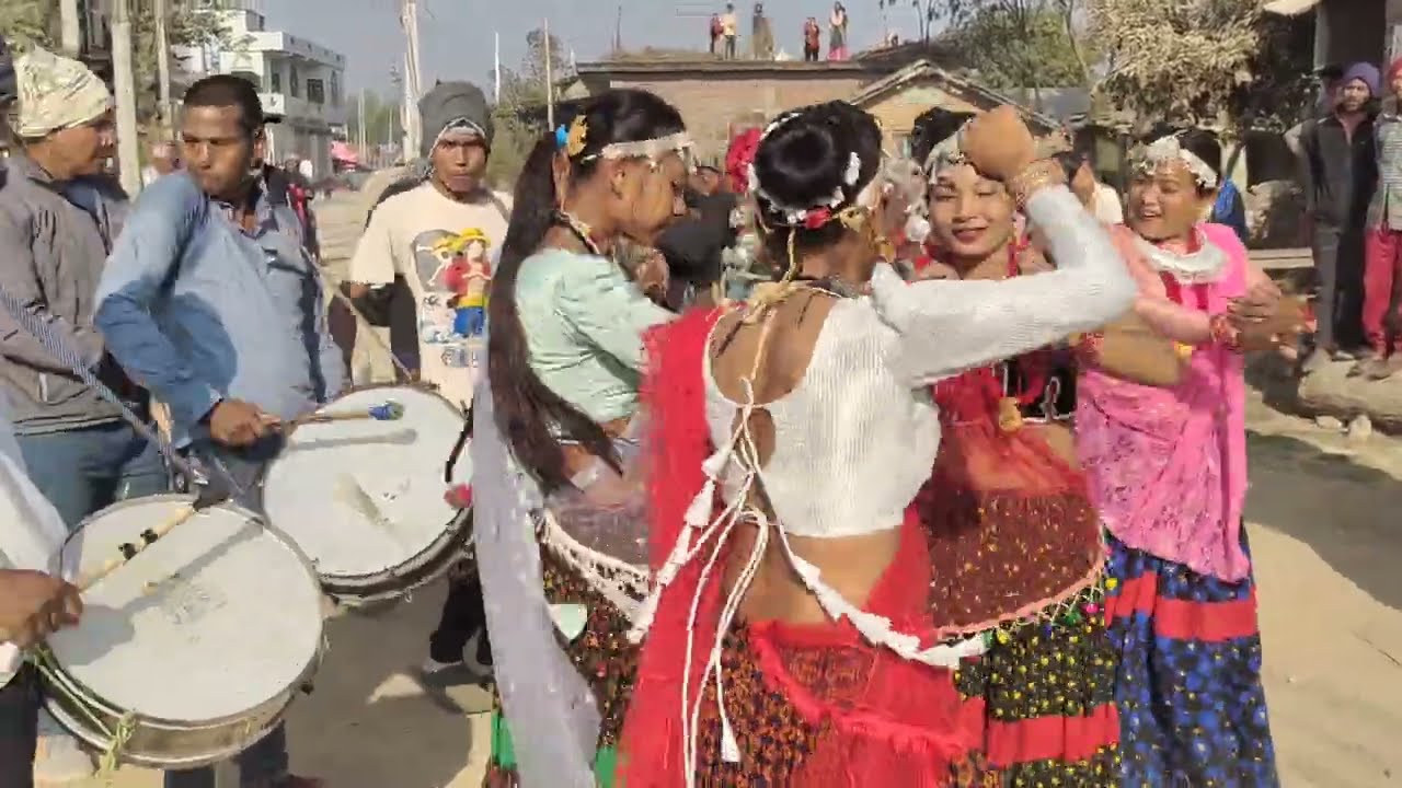 New Tharu Wedding Bend Baja Dance Baijanath-7 Pedari with Banke Tharu Community