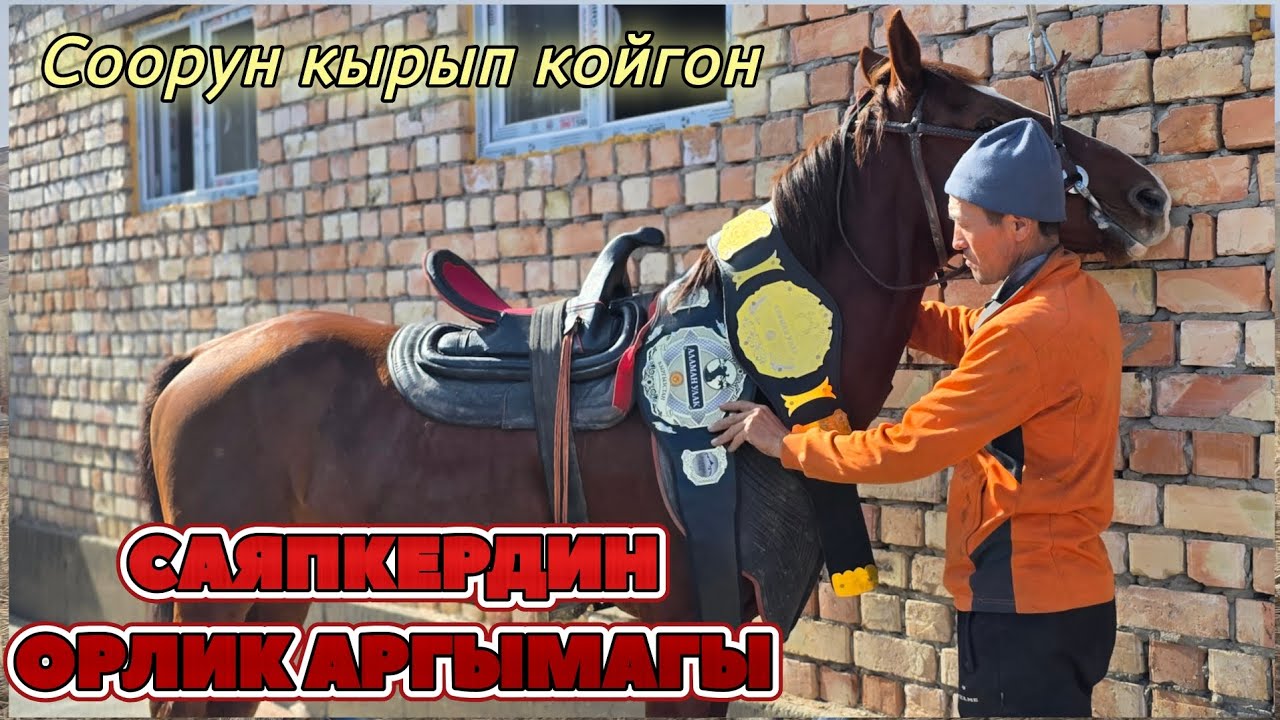 Саяпкер таптаган такшалган ОРЛИК 🇰🇬Ноокаттын таанымал аты