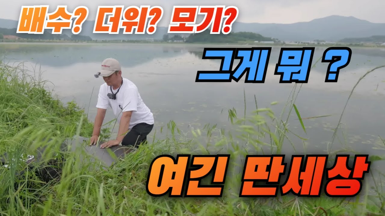 힘든 시기라고? 여기는 믿기지 않는 딴 세상 !!