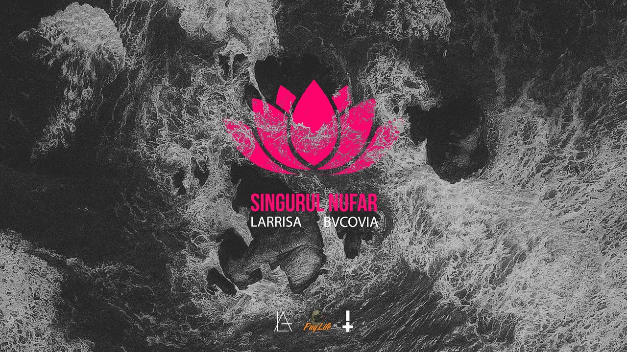 Larrisa feat. Bvcovia - Singurul Nufar (Audio)