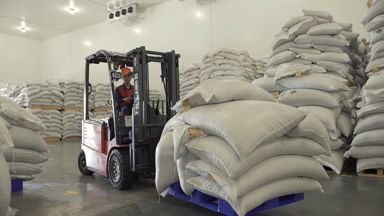 Sunflower Seed Snacks, from China to Southeast Asia