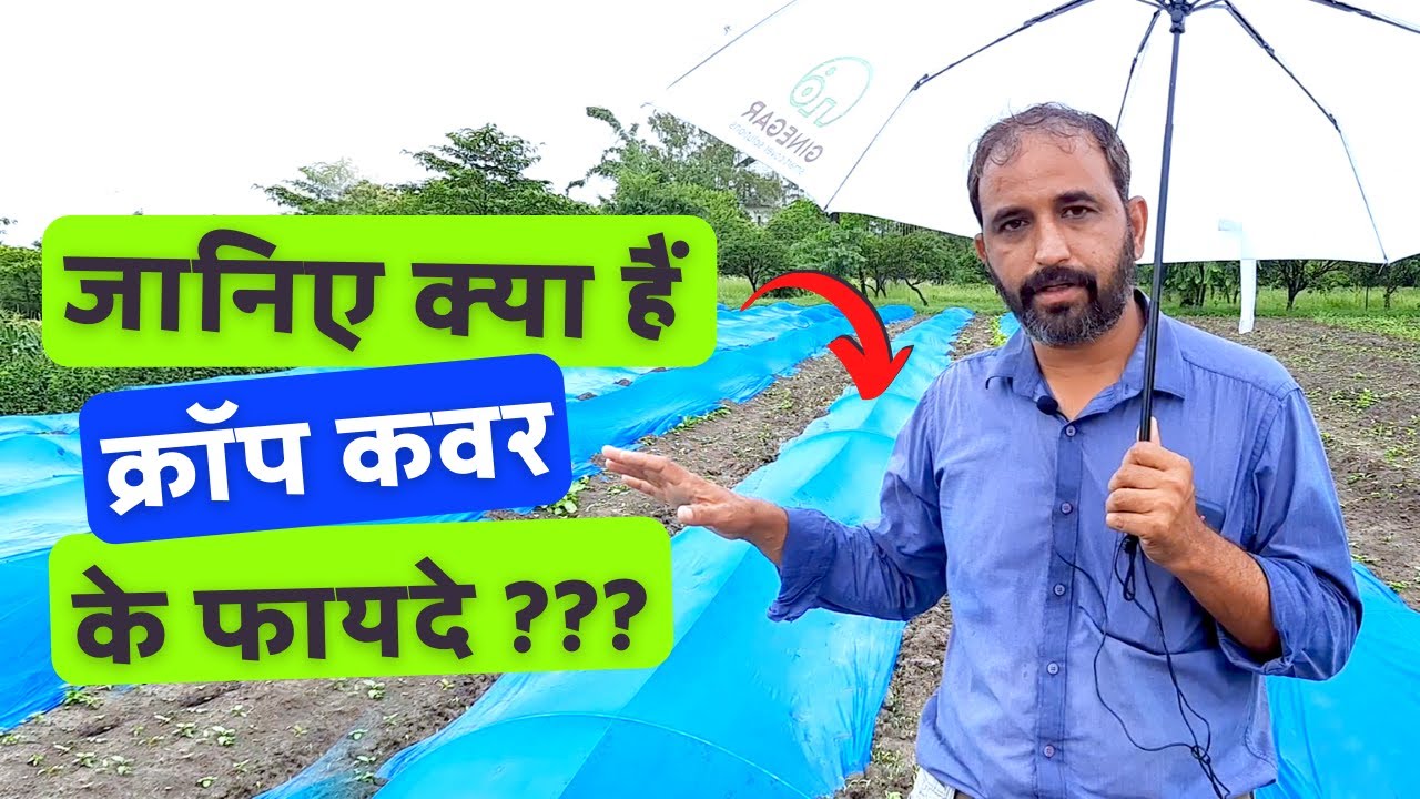 What are Advantages of crop cover?? जानिए क्या हैं क्रॉप कवर के फायदे ???