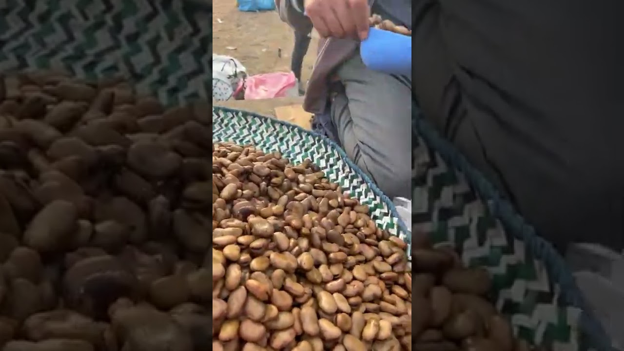 سوق حد ولاد فرج ( من أكبر الأسواق فالمغرب ) أحسن أجواء مع أحسن ناس دكالة فالكون ♥️