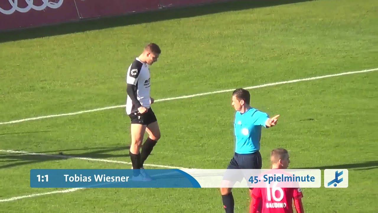 FC Bayern München II - FC Amberg (Regionalliga Bayern 15/16, 17. Spieltag)