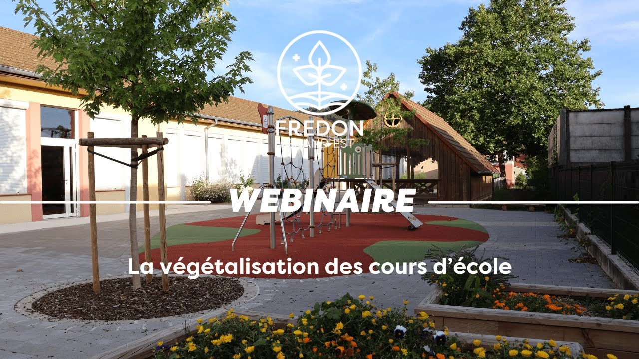 Webinaire végétalisation des cours d'école