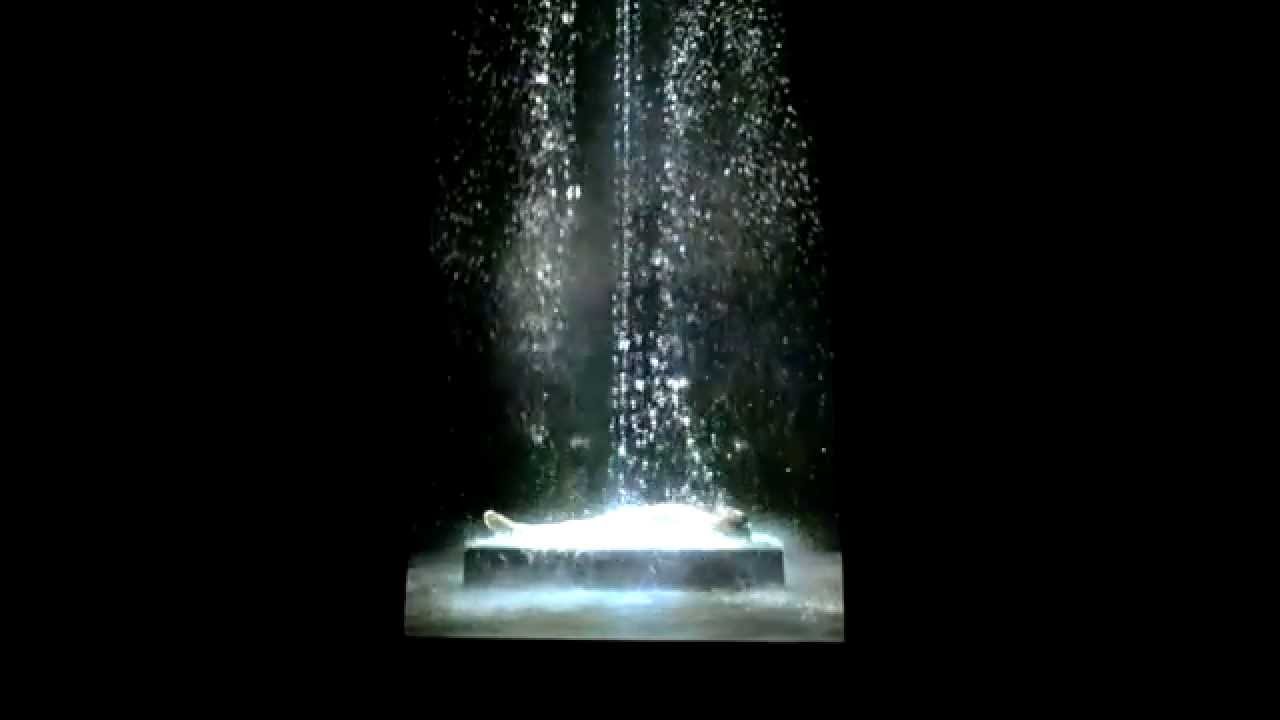 Bill Viola - Tristan's Ascension -- 2005