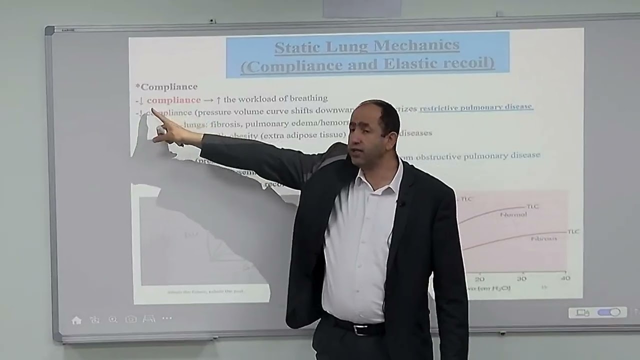Respiratory System by Dr  Mohammad Ayoub