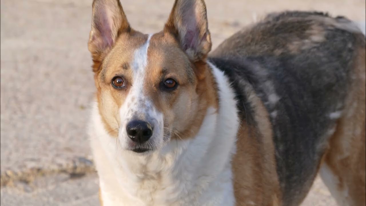 In Memoriam: Ben