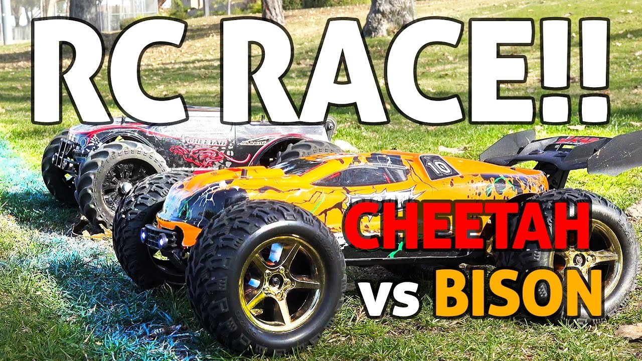 RC Car SPEED RACE!! Cheetah vs Bison