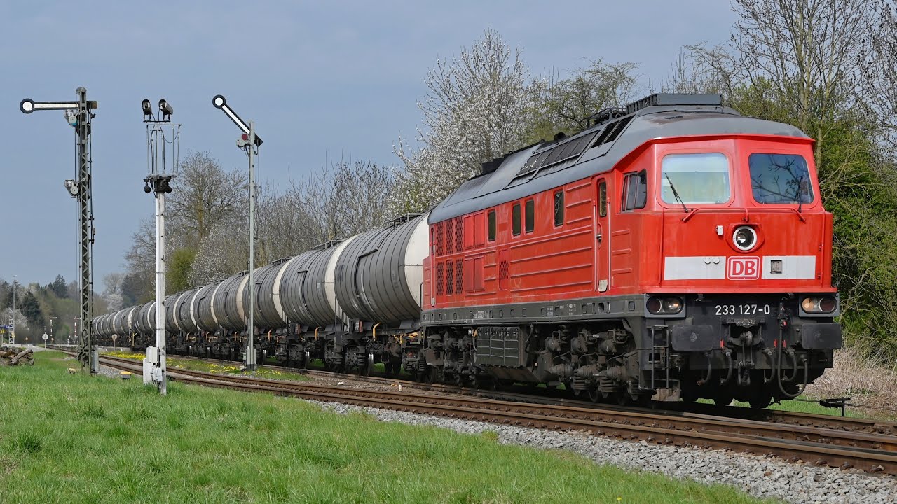 Das neue Dieselparadies Mühldorf - Privater Verkehr und DB Cargos Ludmilla Comeback