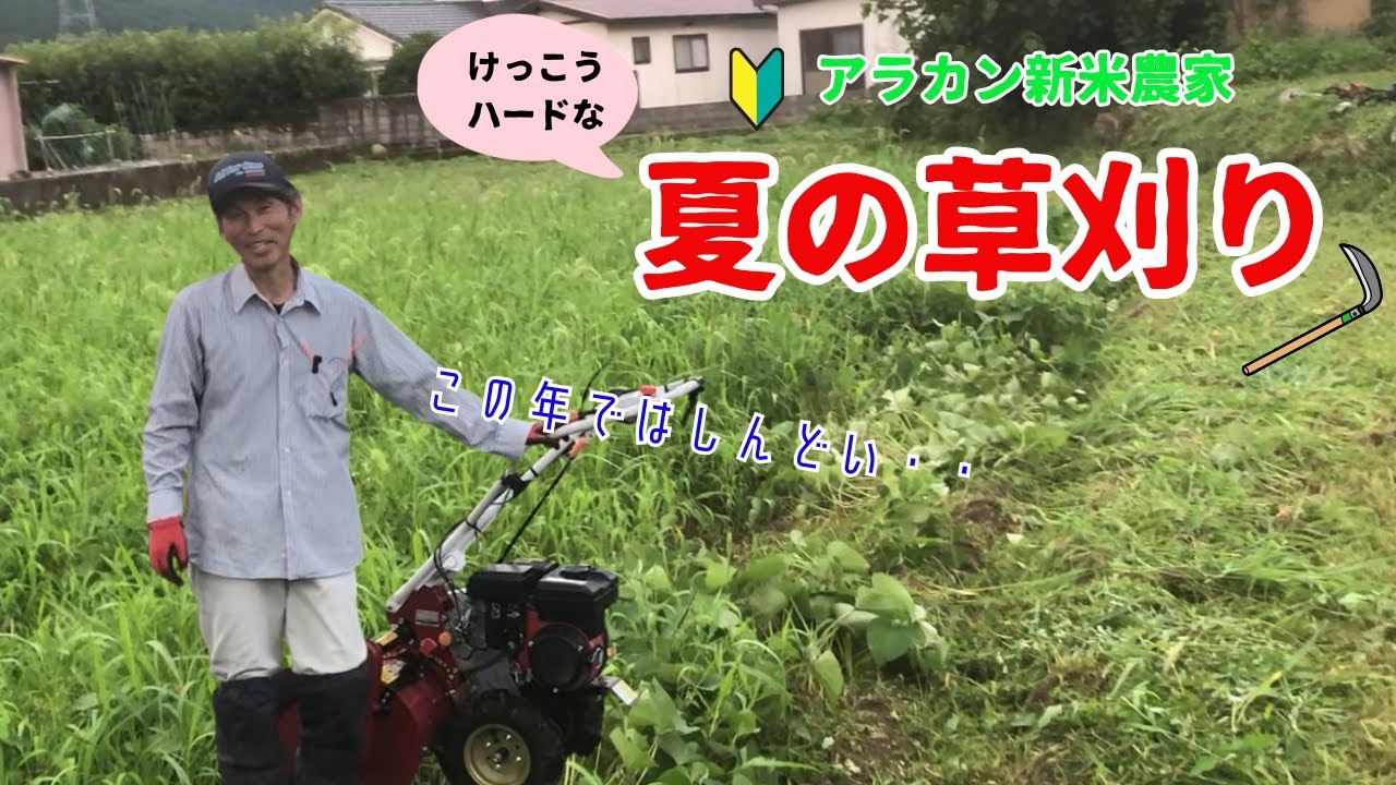 【草刈り】アラカン新米農家の夏の草刈りルーティーン！