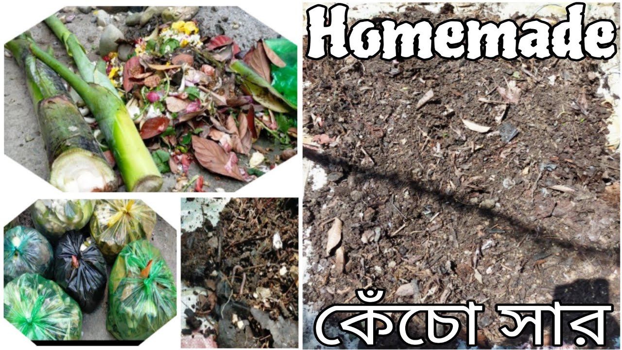 কেঁচো সার তৈরির সহজ উপায় || Homemade কেঁচো সার | #homemadefertilizer #fertilizer #viralvideo #video