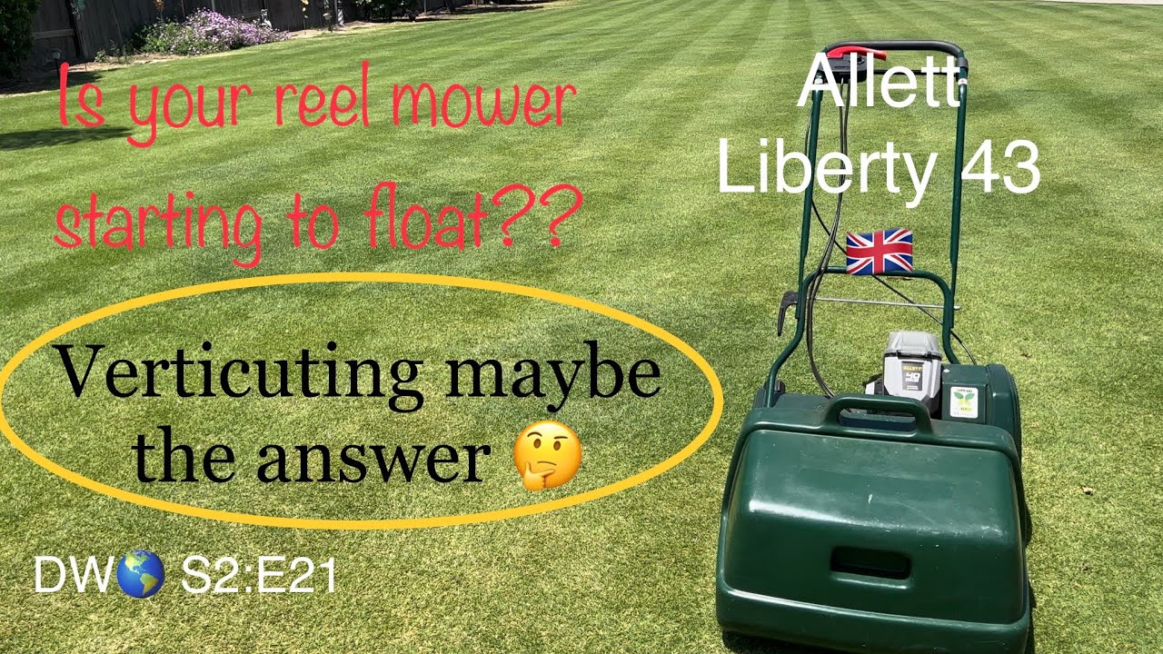 Verticut & Scarify Bermuda Turf - Allett Liberty 43 - 40v Greenwork Lithium Ion - DW🌎 S2:E21