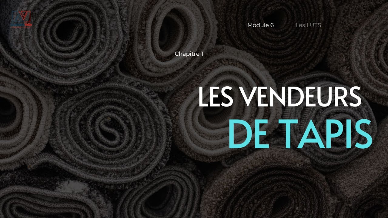 FORMATION ETALONNAGE Module 6 Chapitre 1-Les vendeurs de tapis