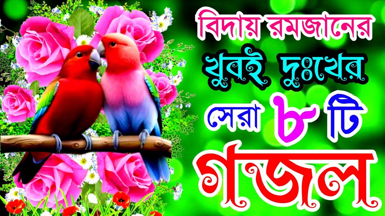 রমজানের শেষ বিদায়ী দুঃখের সেরা গজল |Ramadan Selected Gazal |New Islamic Best Song |New Bangla Gojol