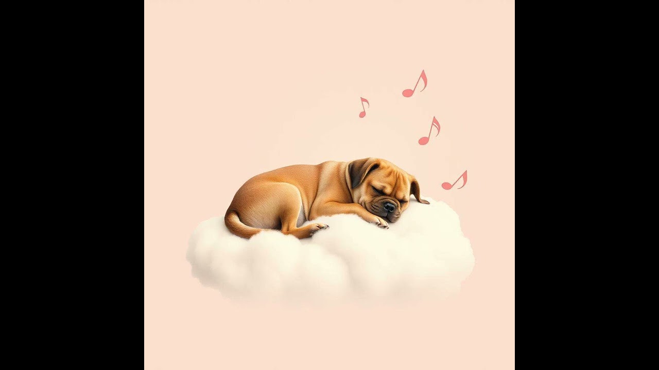 【いぬ専用セラピー音楽】1月30日わん｜Therapeutic music for dogs