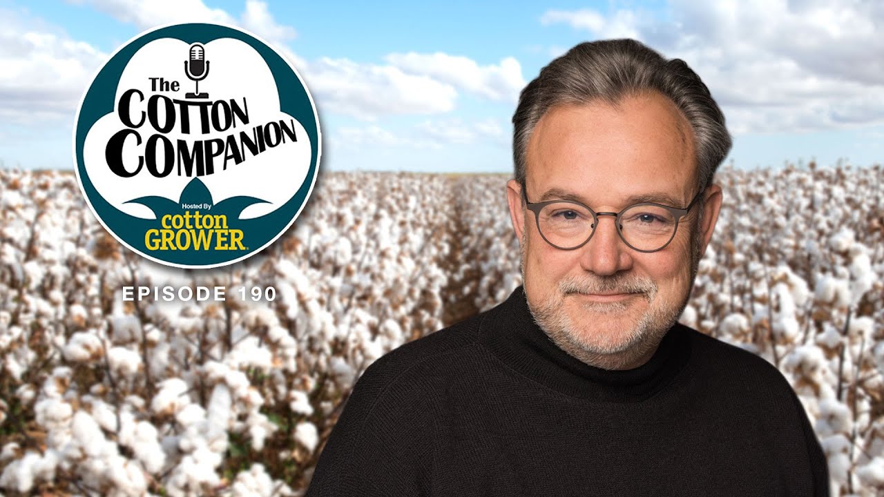 Have Environmentalists Damaged Cotton Demand?