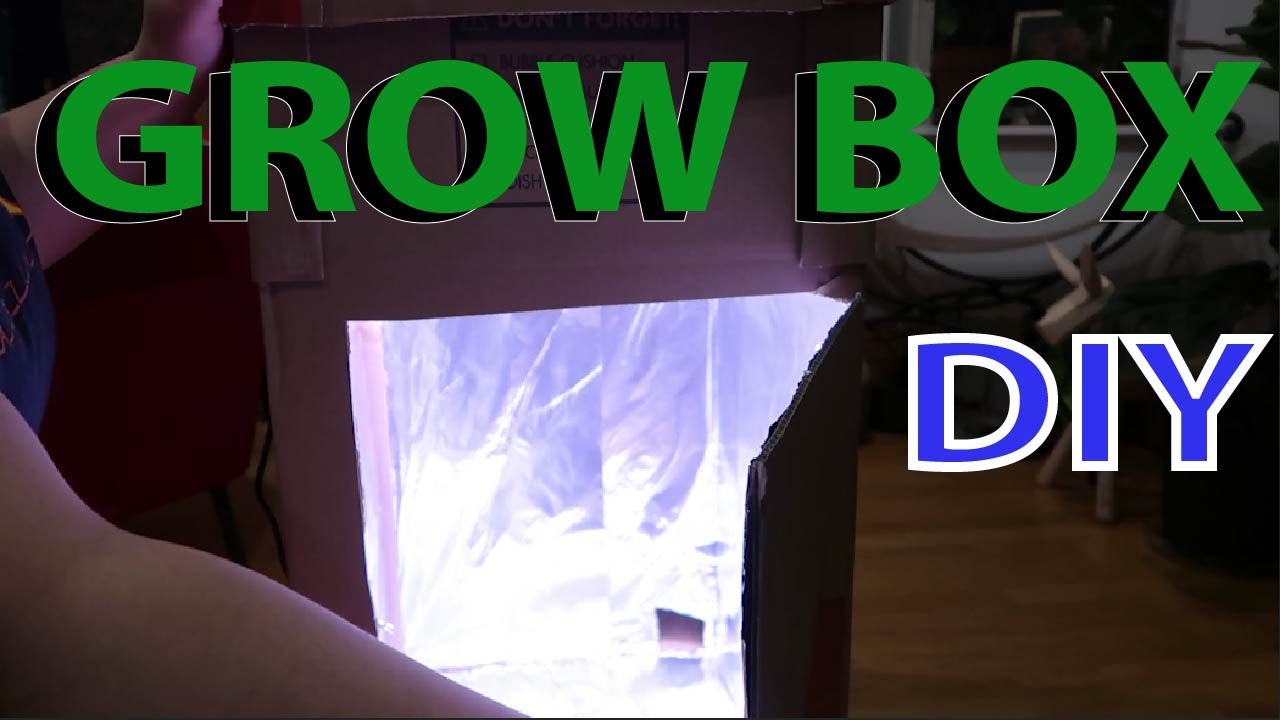 DIY Grow Box - Grow Any Plant Indoors || SYDNEY MILAN