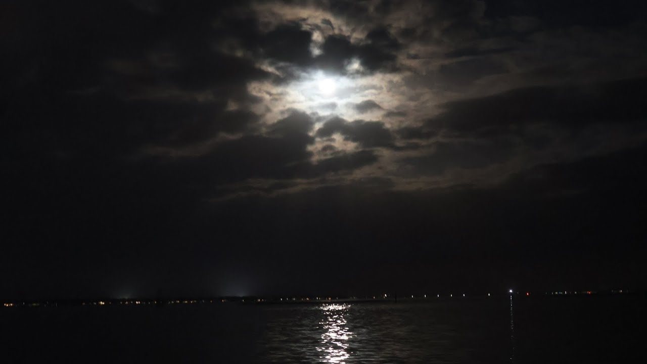 asmr: full moon at charleston’s waterfront park