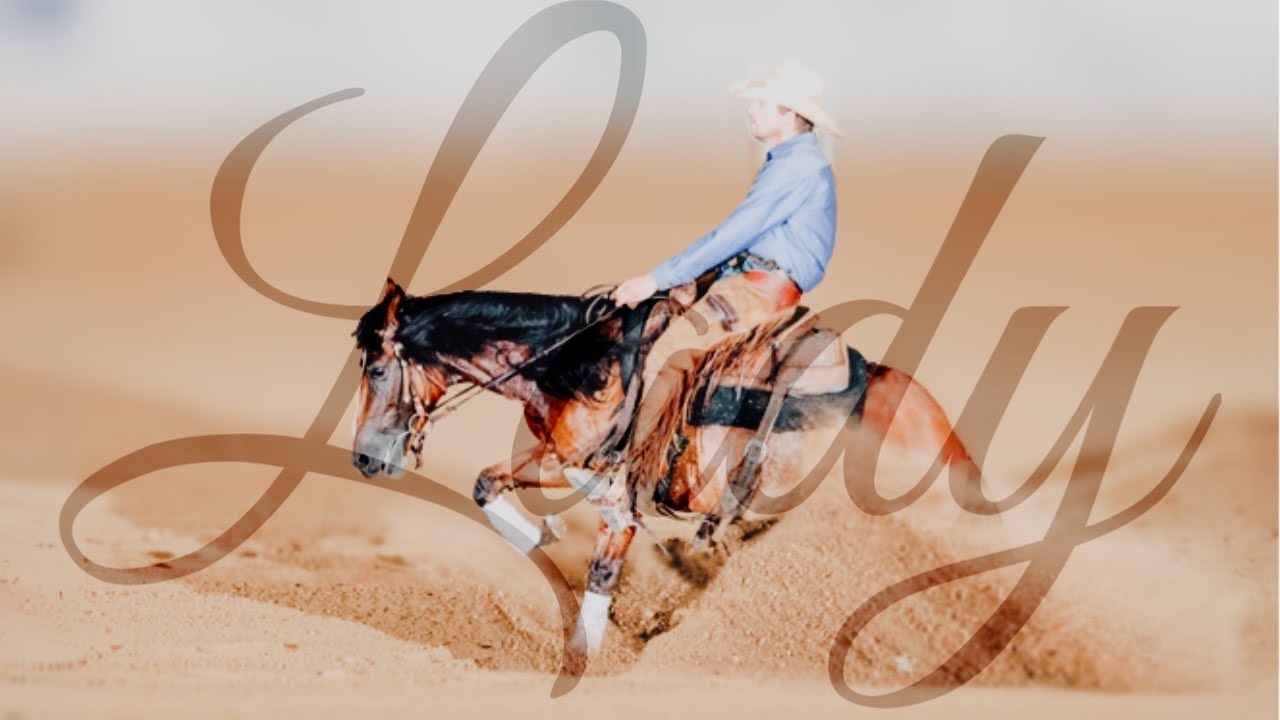 LADY • 2018 Head & Heel Mare 