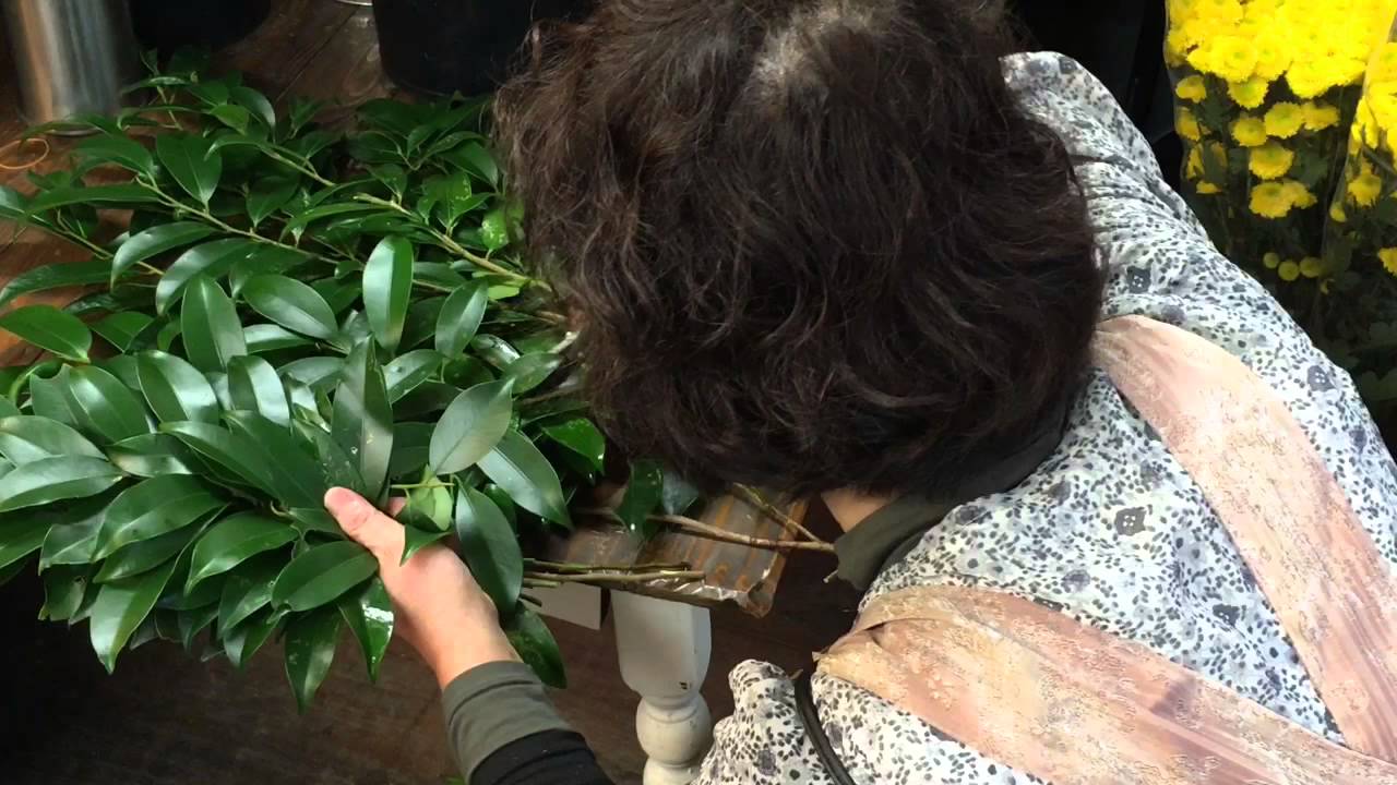 国産 本榊(サカキ) 作り方 京都の花屋 花ポット