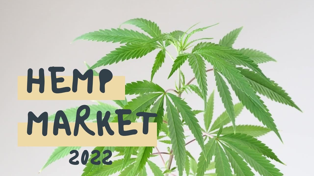 Hemp Market 2022