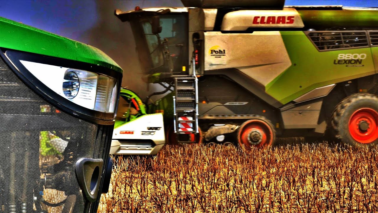 🇵🇱 WIELKIE ŻNIWA NA OPOLSZCZYŹNIE🔥, NEW LEXION 8800,  4X LEXION 5X JOHN DEERE 🚜