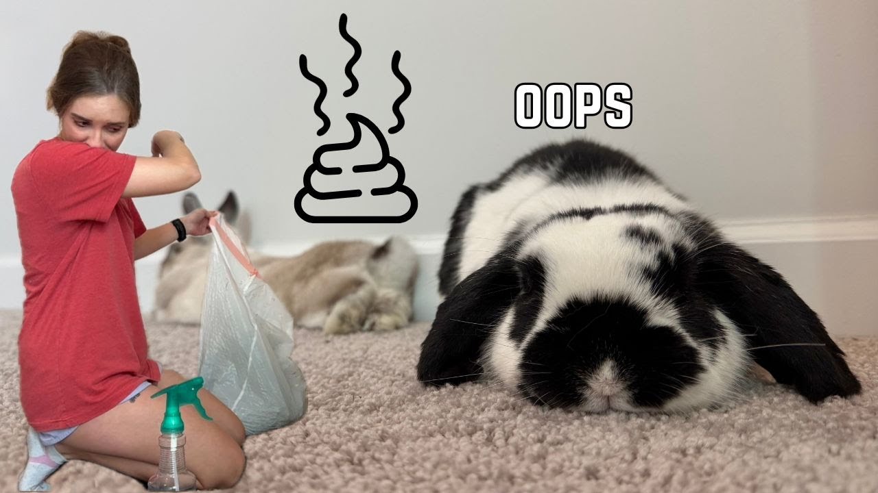 A Very Realistic Bunny Room *Deep Clean*