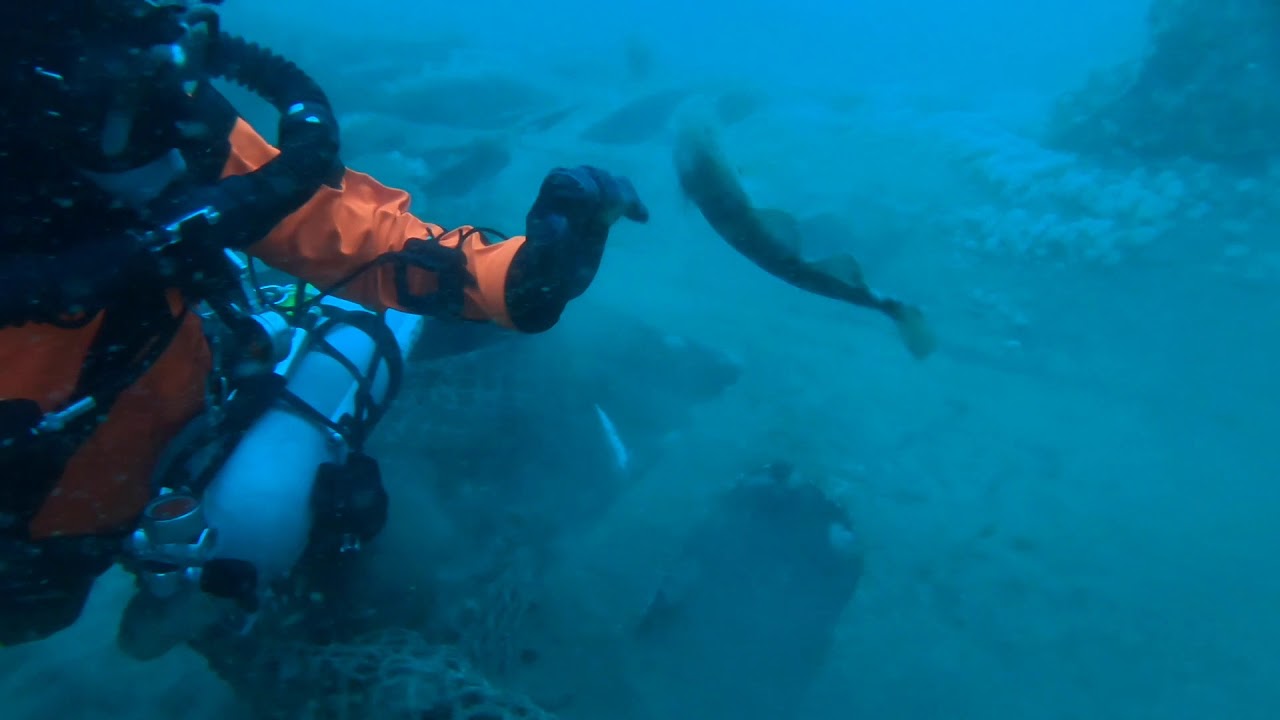 Ghost Fishing divers kicked off North Sea season 2018