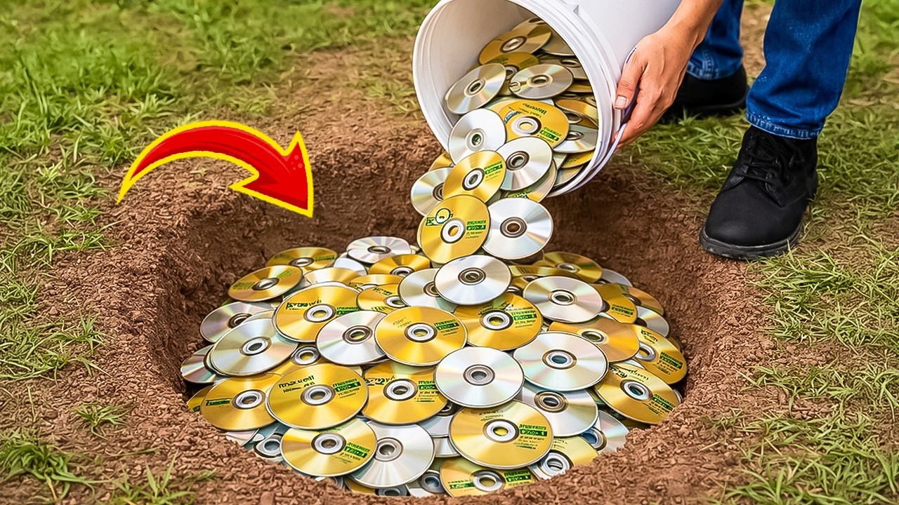 Раскройте этот секрет! Бросьте старый CD-диск в отверстие и заработайте кучу денег. ОТЛИЧНАЯ ИДЕЯ!