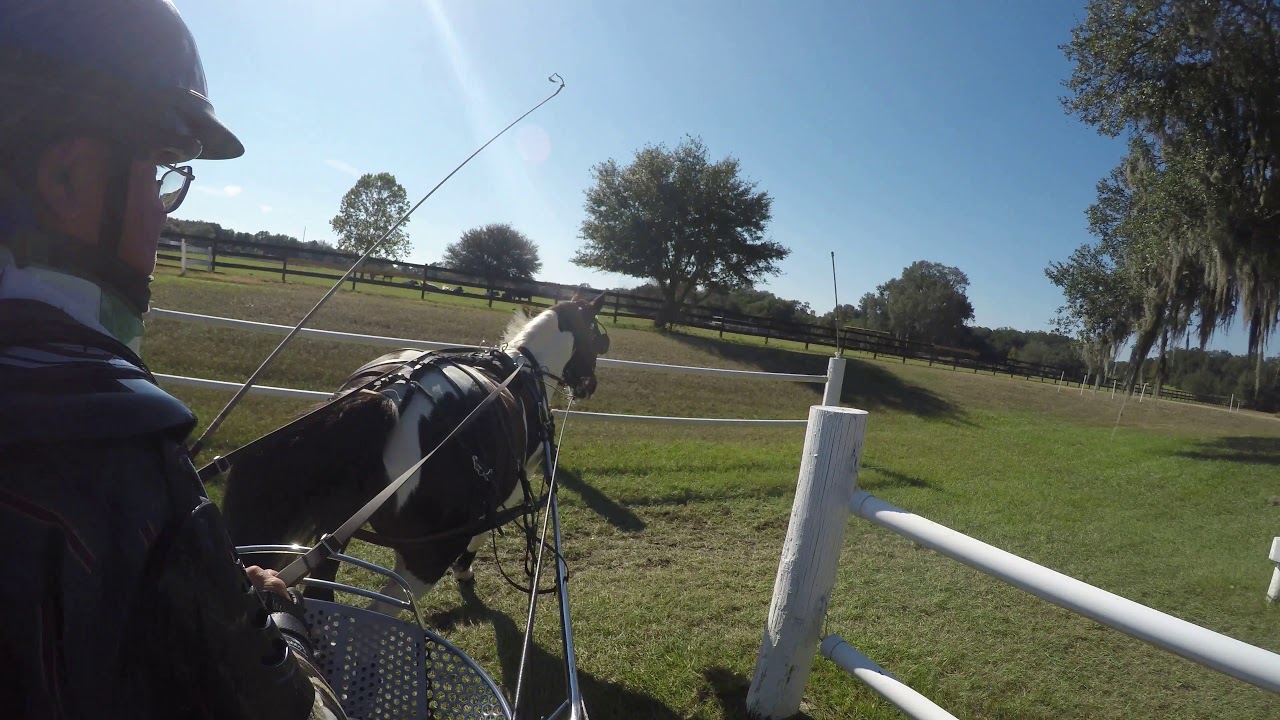 Grand Oaks HDT, December 2020, Obstacle 1