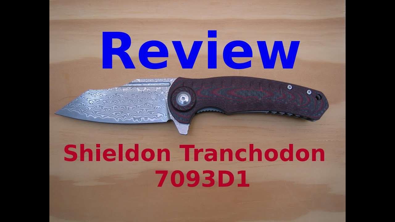 Review Shieldon Tranchodon 7093D1