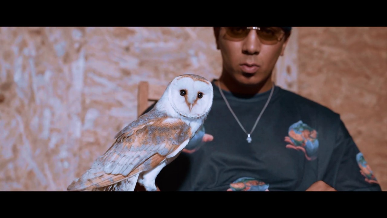 SOSO MCR ► PABLO & TATA ◄ (Official Video)