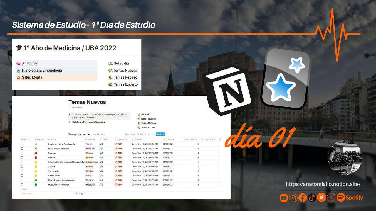 Notion en Medicina - Sistema de Estudio - D&iacute;a 1&ordm;