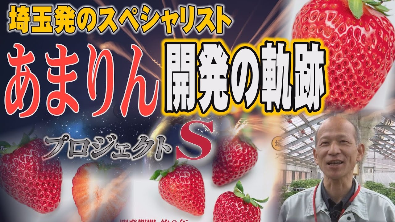 【あまりん】日本一のイチゴ開発ストーリー・埼玉県農業技術研究センター【埼玉の逆襲】