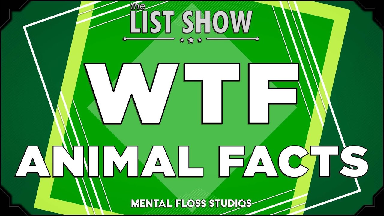 28 WTF Facts About Animals | Mental Floss