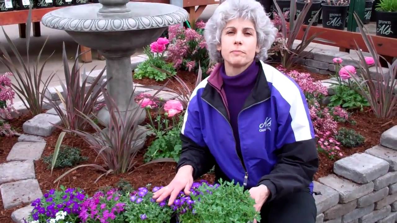 Early Spring Perennials.MP4
