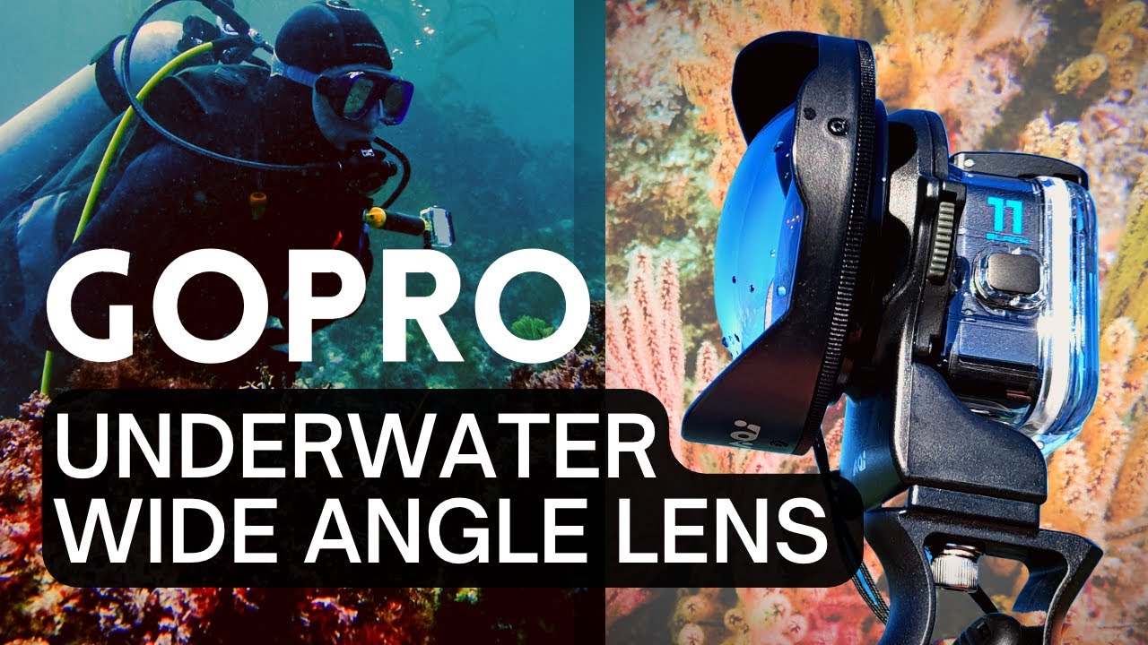 GoPro 11 & AOI UWL-03 Wide Angle Lens Test - Diving Shaw's Cove In Laguna Beach