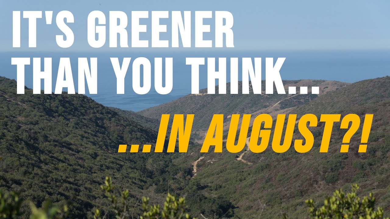 Exploring Rugged Crystal Cove State Park on a Summer Photo Walk