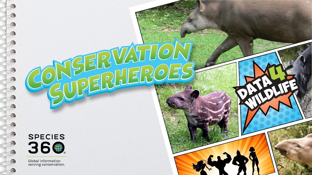 Tapir Conservation Data4Wildlife Hero - Patricia Medici