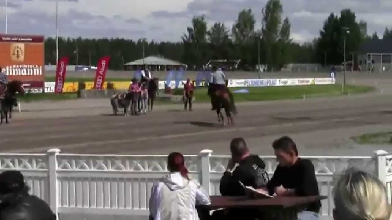 Festivaaliravit vuonna 2015