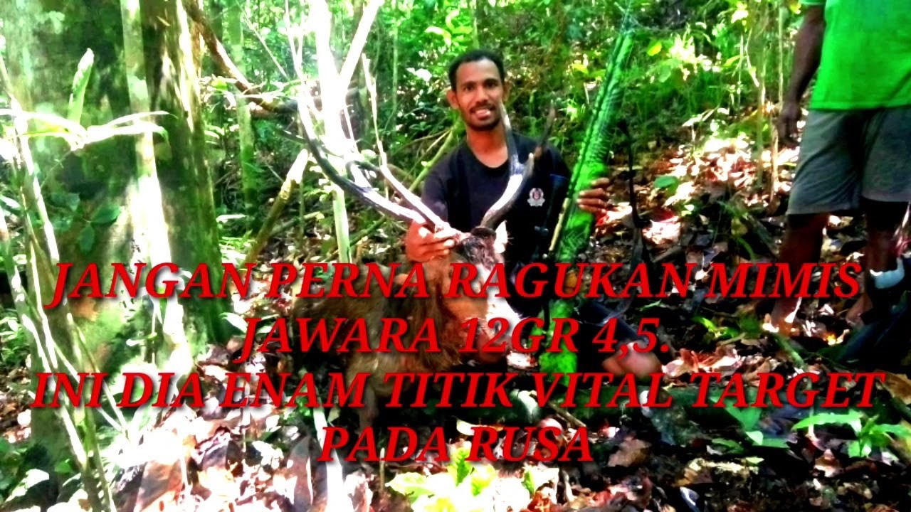 Di Jamin Mati Ditempat//Ini Dia Enam Titik Vital Target Buruan Rusa.........